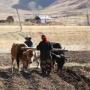 Продовольственная безопасность стран Центральной Азии