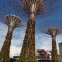 10 «зеленых» идей для будущих мегаполисов