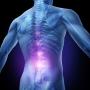 Боль в спине - побочный эффект эволюции