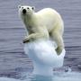 К 2040 году Арктика останется безо льда?-Льюис Смит