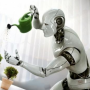 Насколько человечными должны быть роботы?