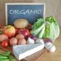 Станут ли органические продукты едой будущего?