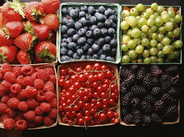 fructi-iagodi-4.jpg