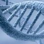 Генетическое оружие – может ли вас убить ваша ДНК?
