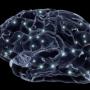 Невероятные факты о человеческом теле. Мозг