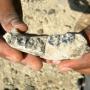 В Эфиопии обнаружили останки одного из первых людей