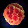 Изменения в генах эмбриона впервые за историю человечества