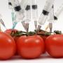 ГМО: трансгенное будущее