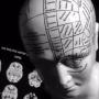 Свойства человеческого мозга