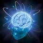 Биологические ловушки мозга: о знаменитых психологических экспериментах