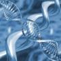 10 удивительных генетических мутаций