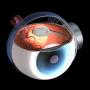 Бионический глаз