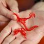 Искусственные кровеносные сосуды создают на 3D принтере