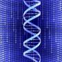 Тесты по ДНК практически бесполезны для медицинских прогнозов