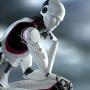 Роботы, прокладывающие путь к созданию искусственного человека