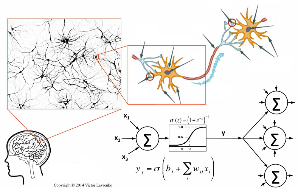 Осуществляет связь между нейронами какой нейрон. Нейроны в нейронной сети схема. Модель нейрона в нейронной сети. Искусственная нейронная сеть и Нейрон. Синапс в нейронных сетях это.