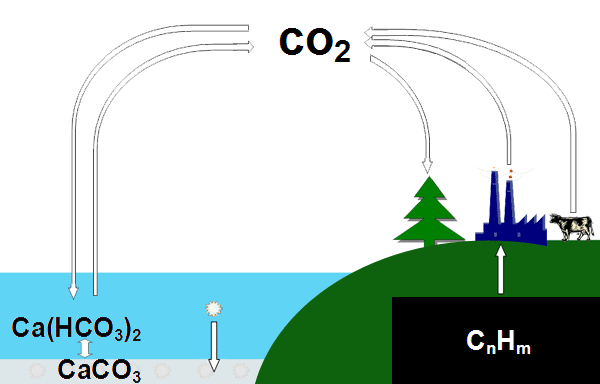 Круговорот СО2 в природе