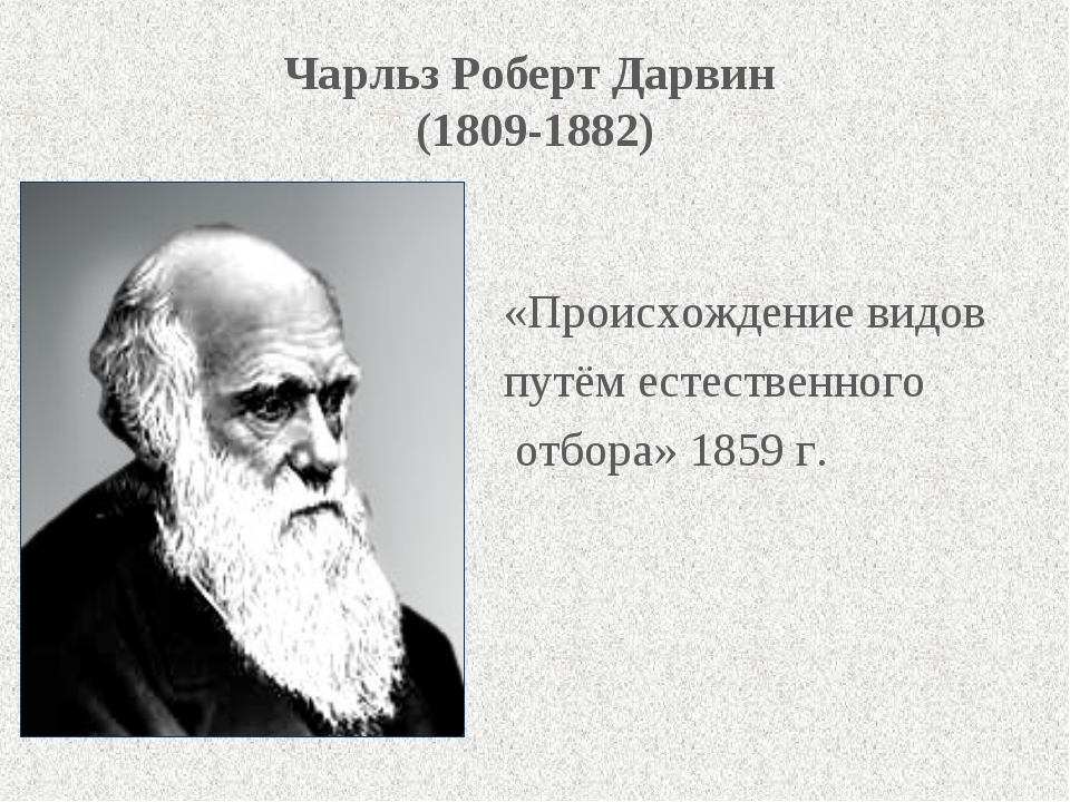 Дарвин