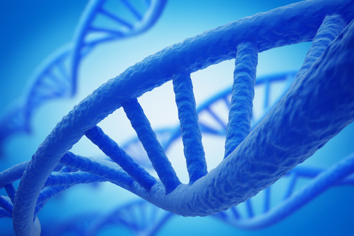 ДНК поможет людям сохранять огромные массивы информации