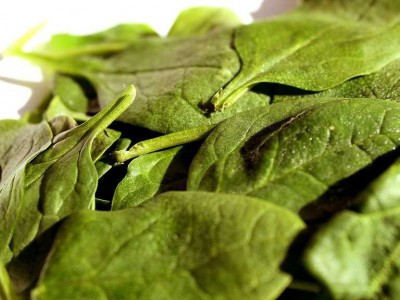 leafy-greens-are-full-of-iron-that-improves-concentration-le