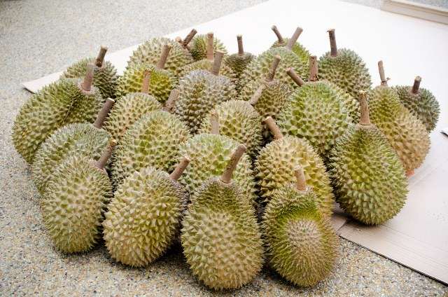 fructi-durian-1-2.jpeg